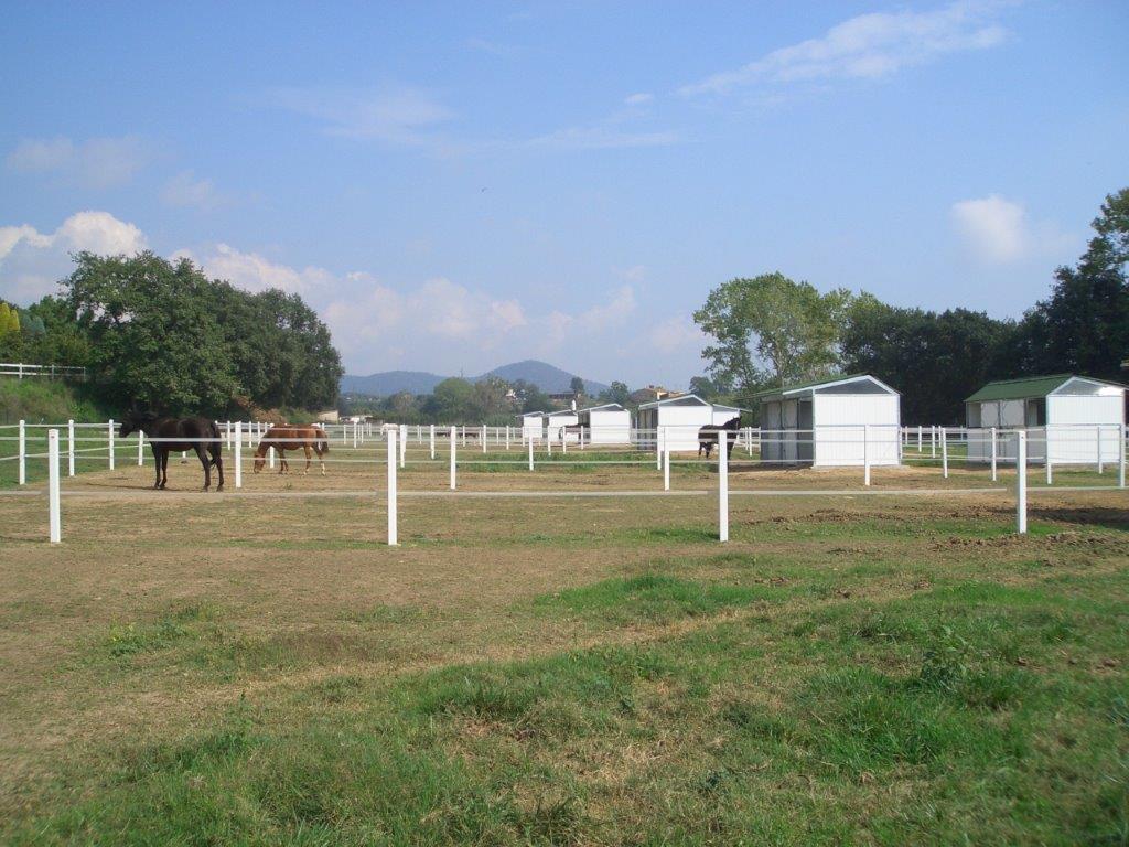 FM Ecuestre y Canino, instalaciones para caballos y instalaciones para  perros