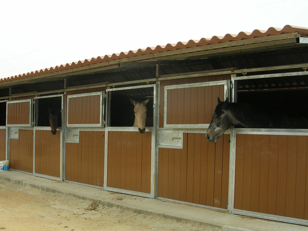 FM Ecuestre y Canino, instalaciones para caballos y instalaciones
